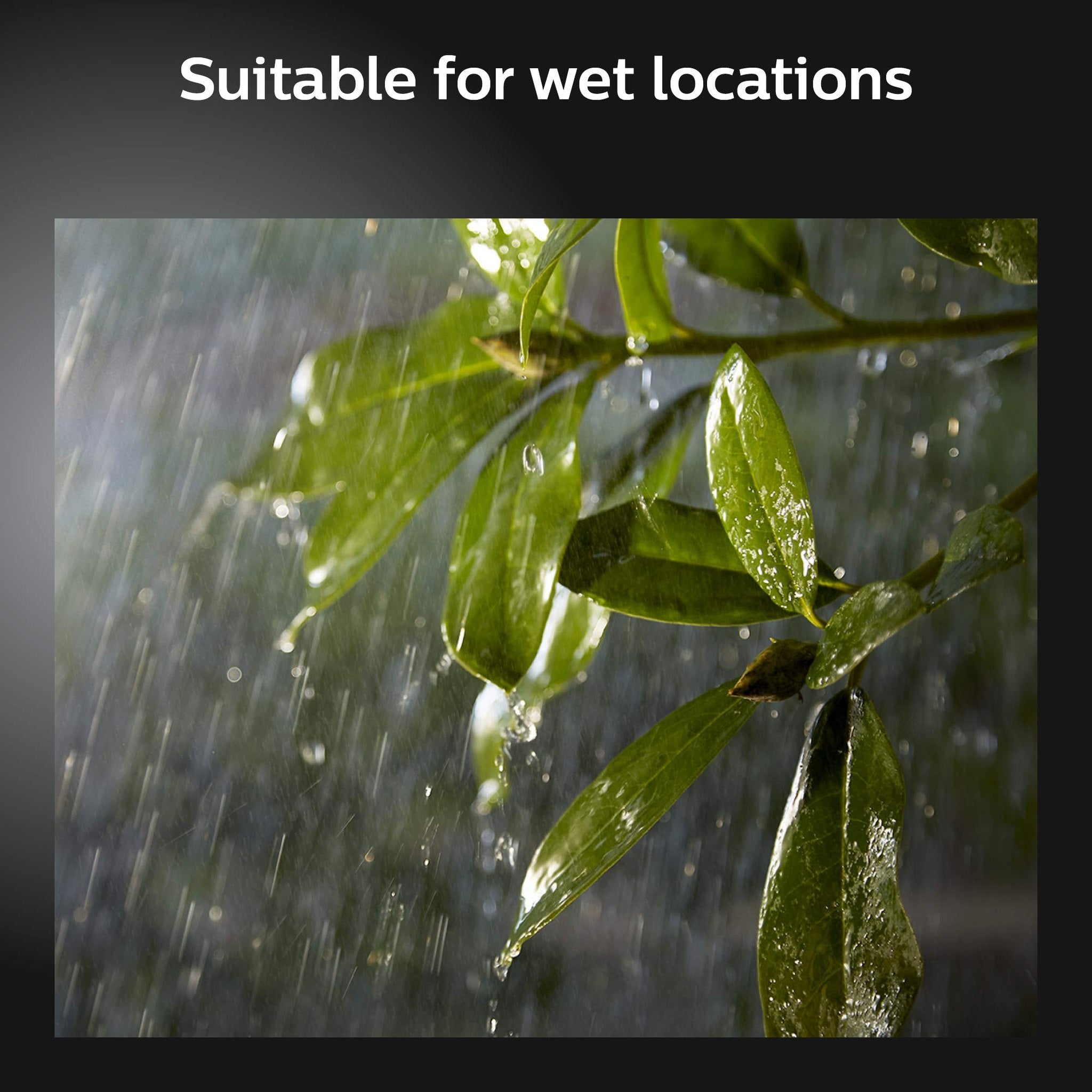 Econic Hue Waca Nam Up