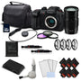 Panasonic Lumix DC-GH5S Camera + 100-300mm Lens Starter Bundle 03