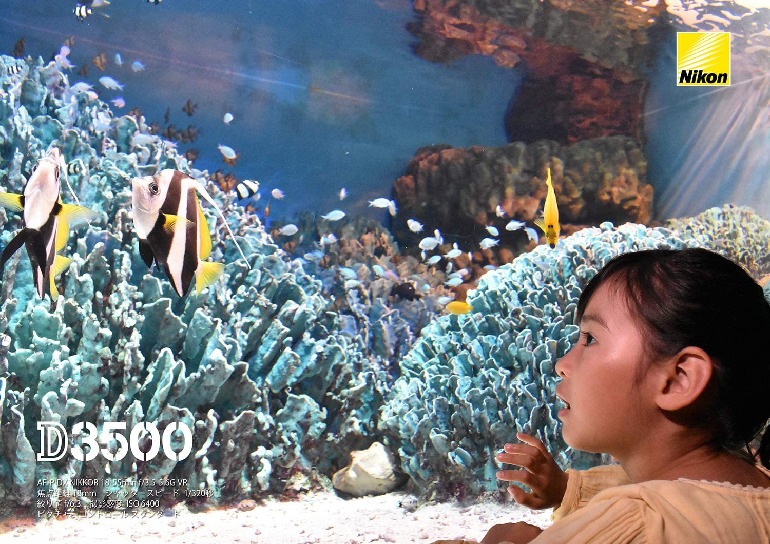 Nikon D3500 24.2MP DX-Format DSLR Digital Camera Body Only - Japan Import