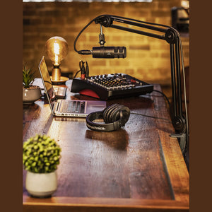 Audio-Technica AT2040 Hypercardioid Dynamic Podcast Microphone at 2040 Black