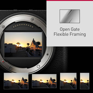 Panasonic LUMIX S9 Mirrorless Camera, 24.2MP Full Frame with Phase Hybrid AF, New Active I.S. Technology - DC-S9BODYK Black Panasonic