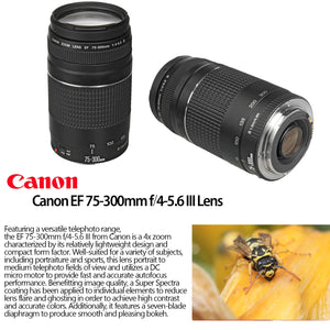 Canon Canon EF 75-300mm f/4-5.6 III Lens with Essential Accessory Kit Bundle