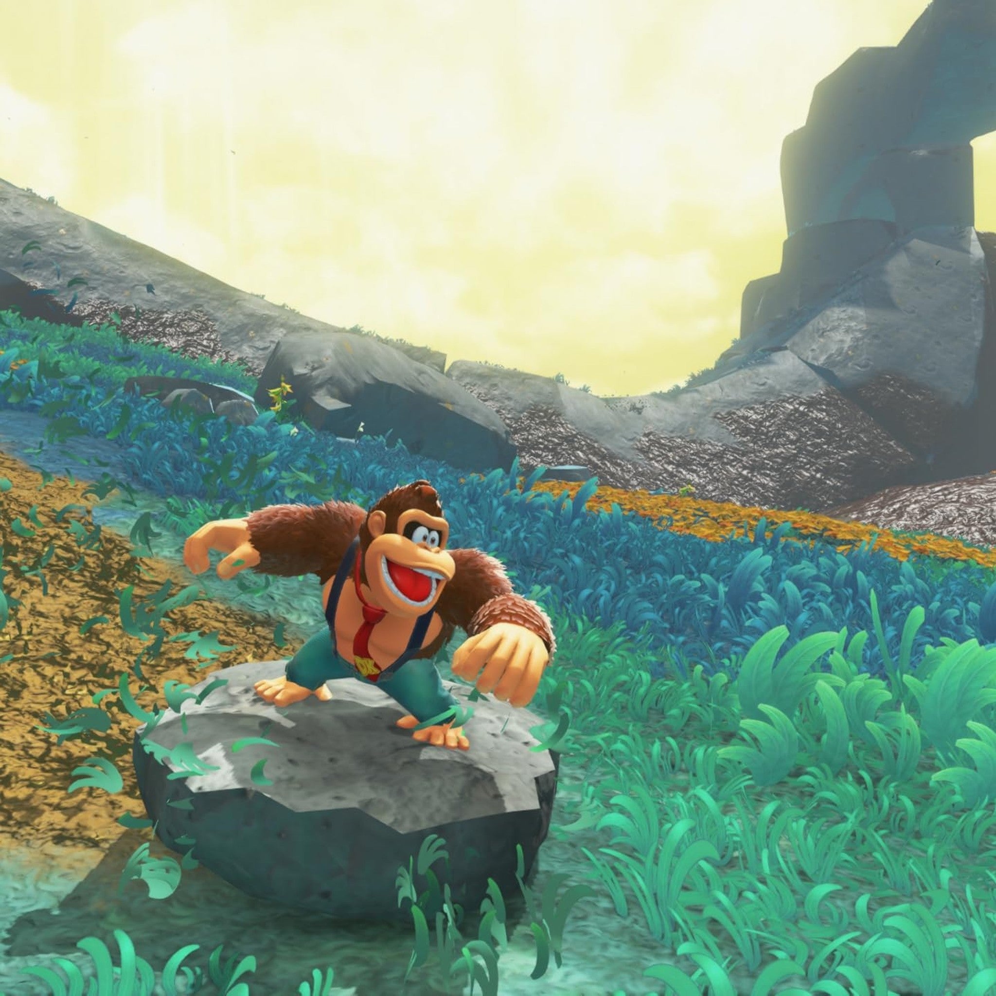 Donkey Kong Bananza Nintendo