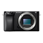 Sony Alpha a6100 24.2MP Mirrorless Camera - Black with 16-50mm and 55-210mm Len