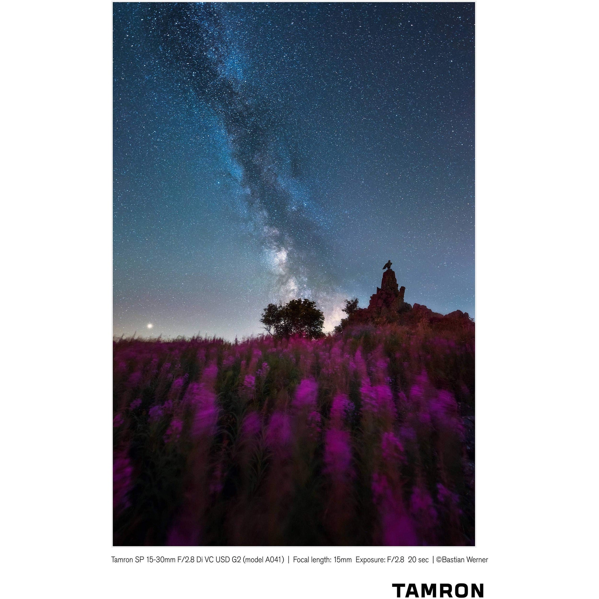 Tamron SP 15-30mm f/2.8 Di VC USD G2 Lens for Nikon F International Version Bundle