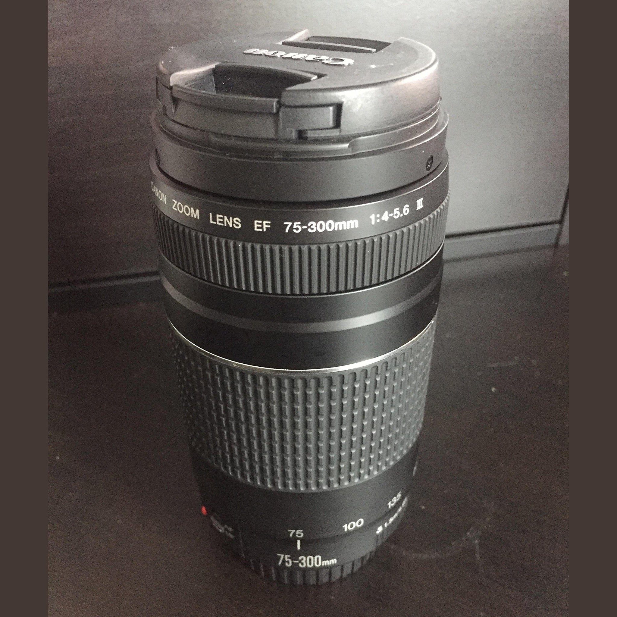 Canon EF 75-300mm f/4-5.6 III Lens - Reconditioned Canon