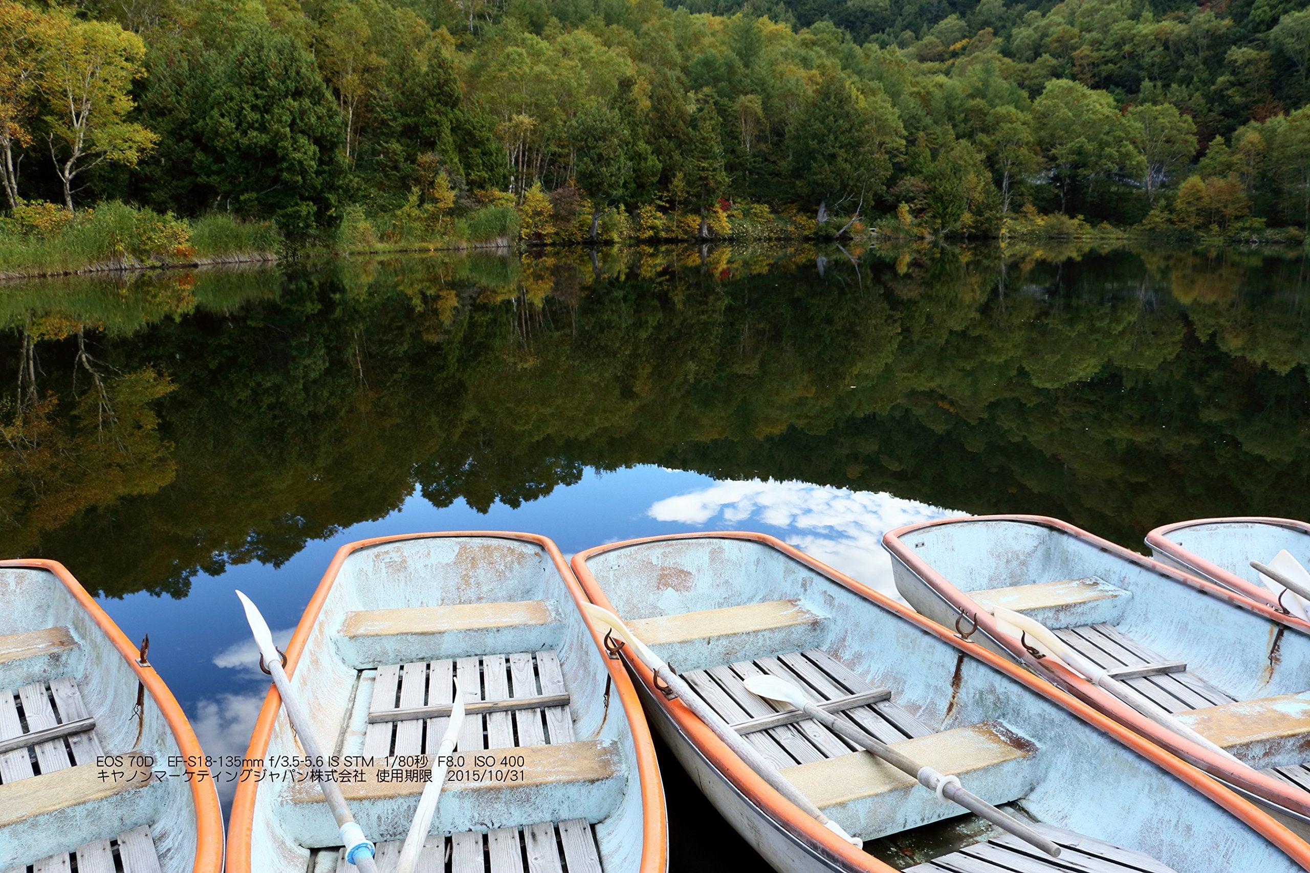 Canon EOS 70D 20.2 MP Digital Camera Body Only