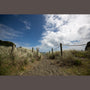 Sigma 14-24mm F2.8 DG HSM, Black 212955 for Nikon