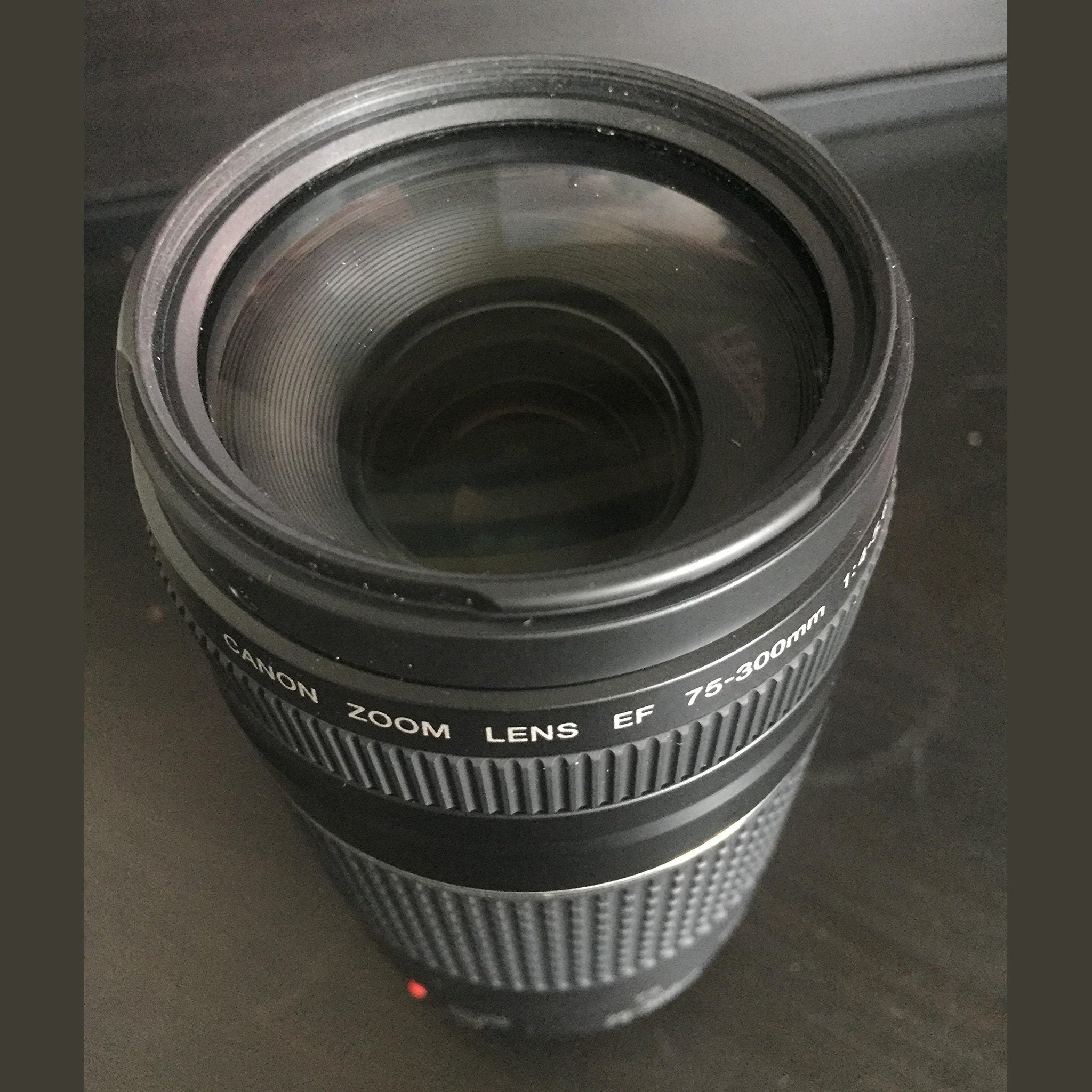 Canon EF 75-300mm f/4-5.6 III Lens - Reconditioned Canon