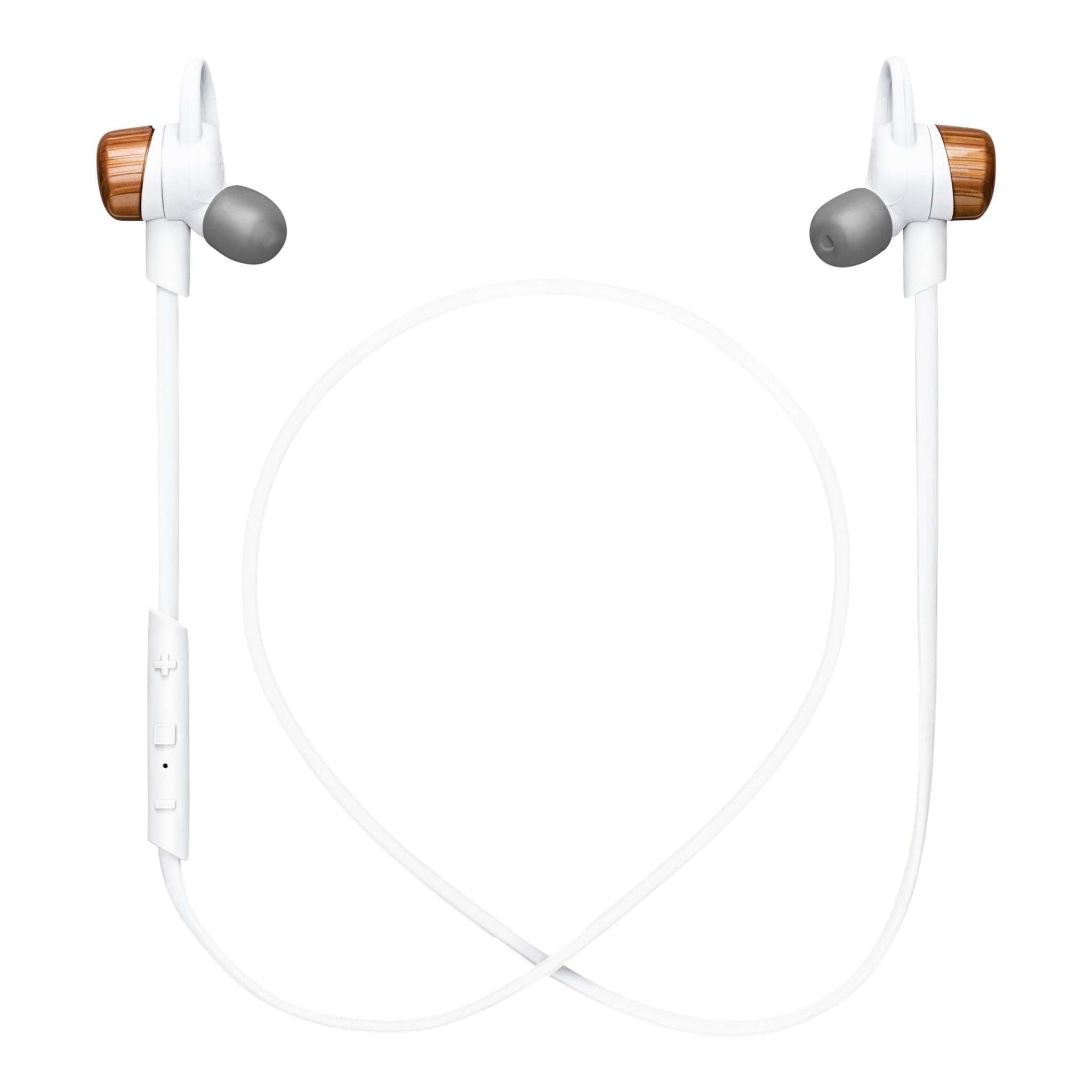 Plantronics BackBeat GO 3 Wireless Earbuds in Copper Premium Charging Bundle