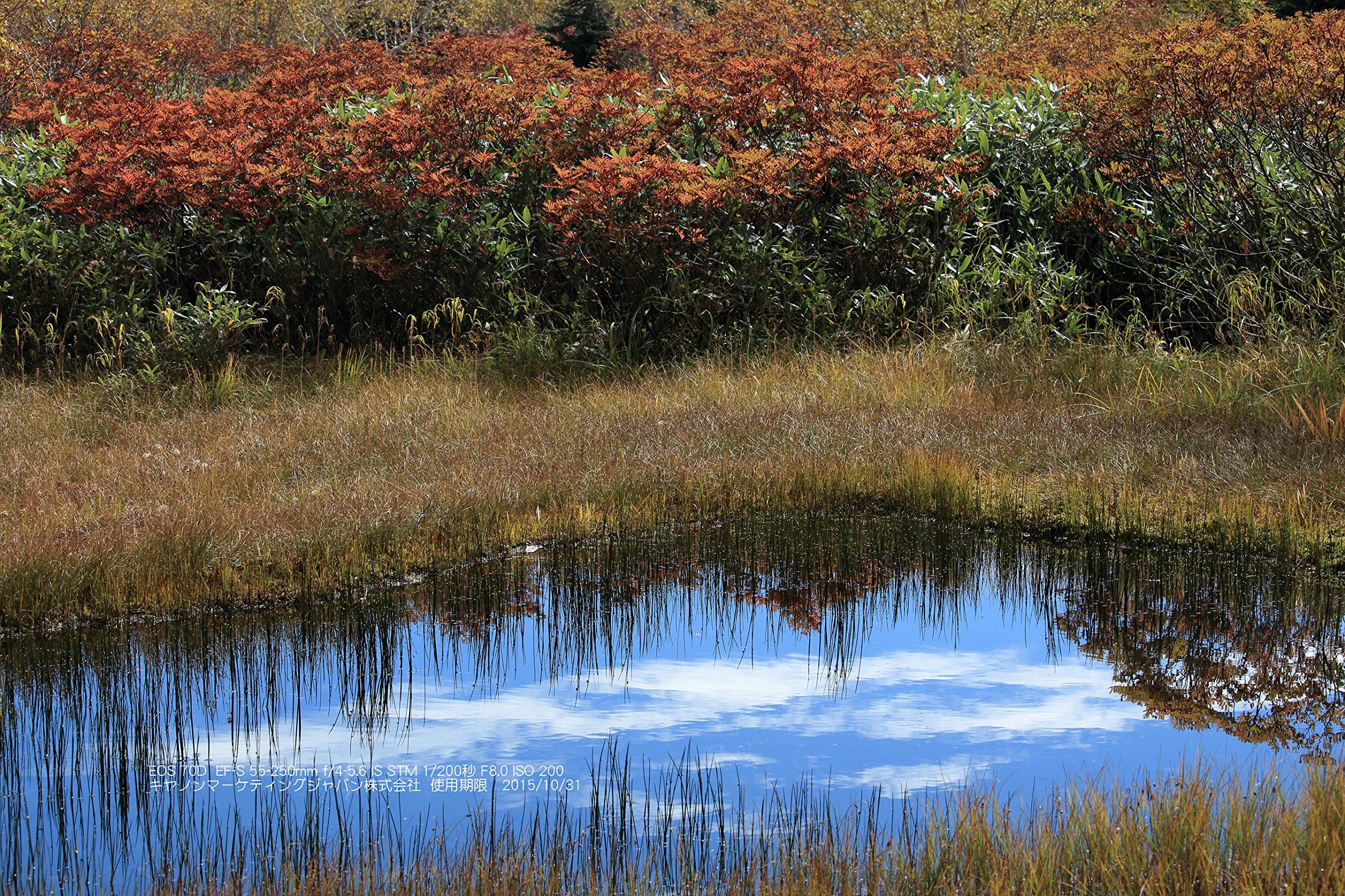 Canon EOS 70D 20.2 MP Digital Camera Body Only