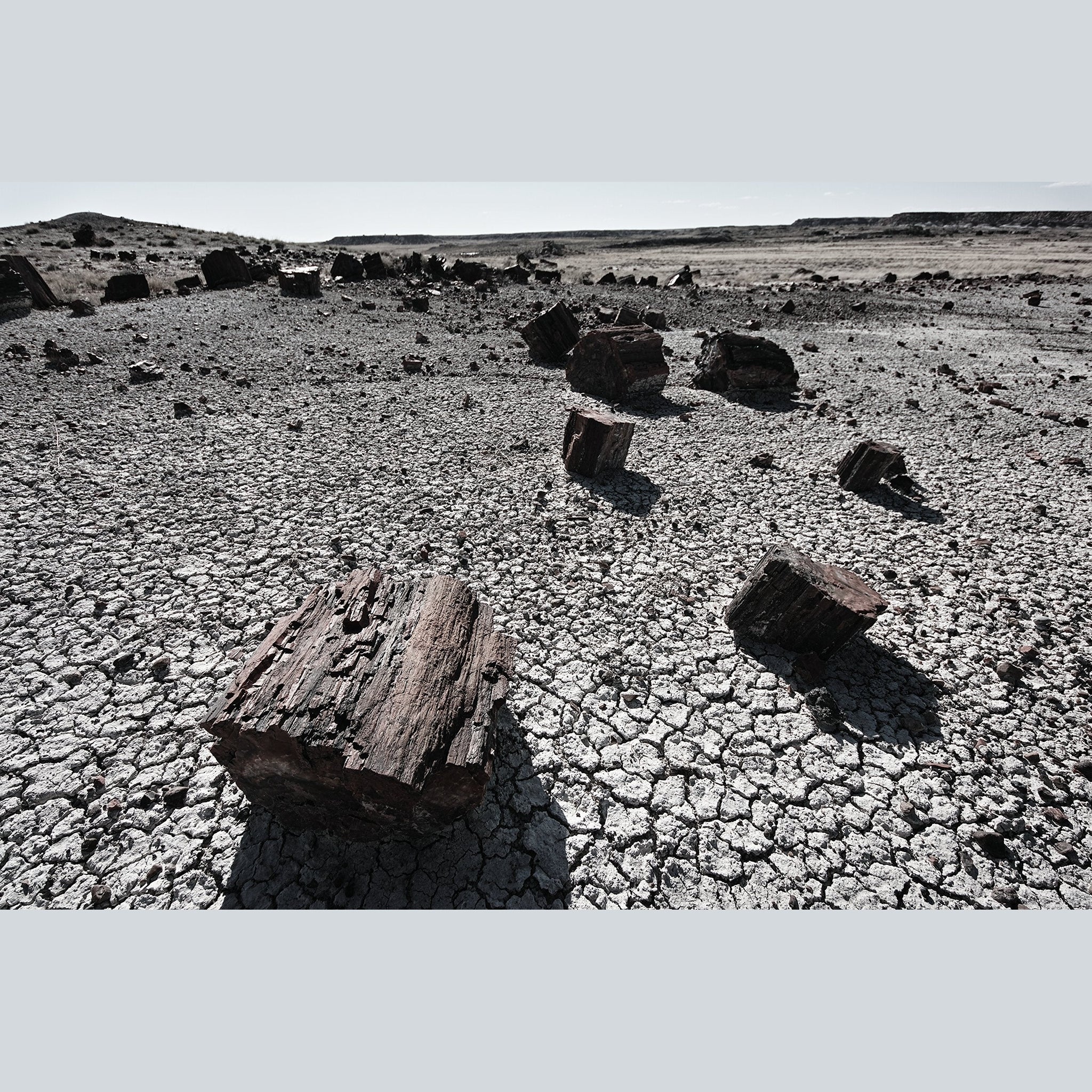 Sigma 8-16mm f/4.5-5.6 DC HSM FLD AF Ultra Wide Zoom Lens for APS-C sized Canon Digital DSLR Camera