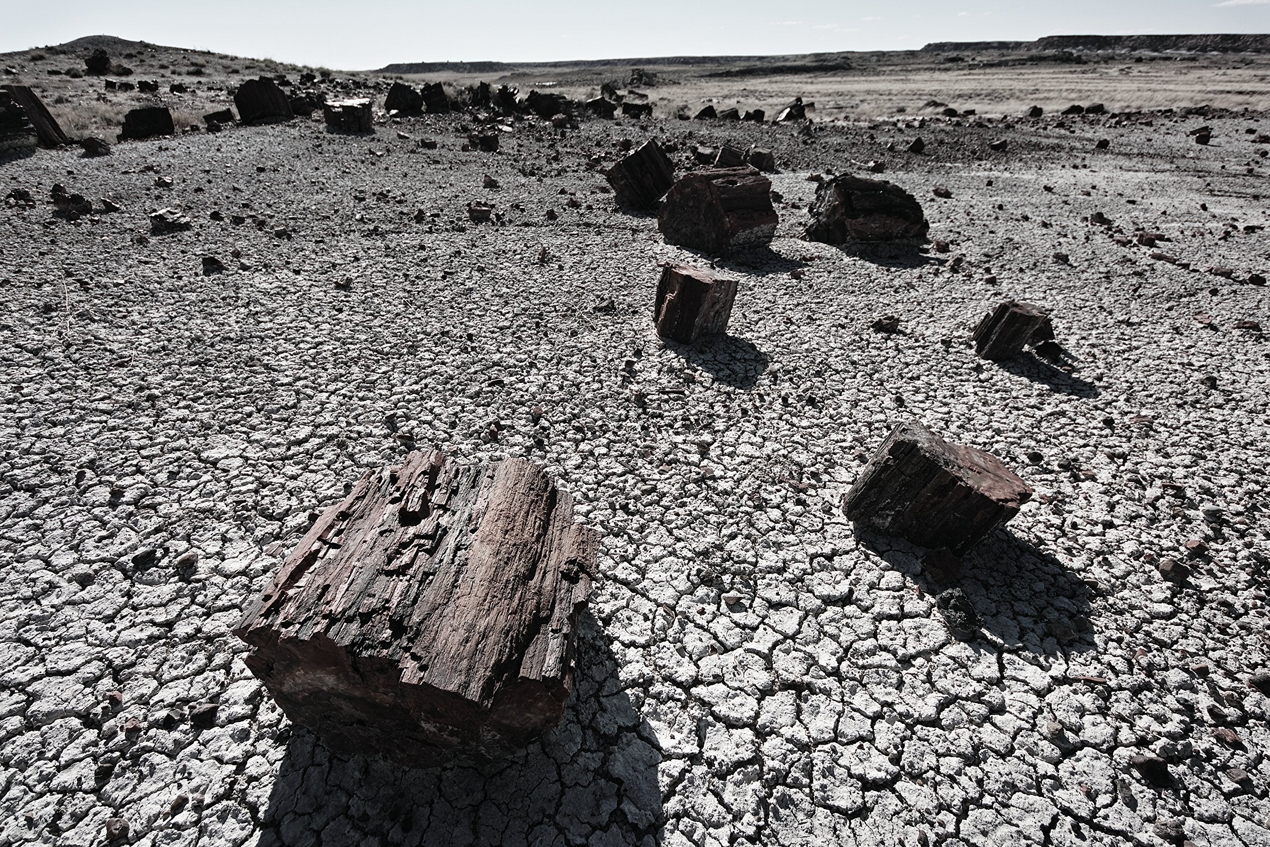 Sigma 8-16mm f/4.5-5.6 DC HSM FLD AF Ultra Wide Zoom Lens for APS-C sized Canon Digital DSLR Camera