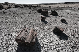 Sigma 8-16mm f/4.5-5.6 DC HSM FLD AF Ultra Wide Zoom Lens for APS-C sized Canon Digital DSLR Camera