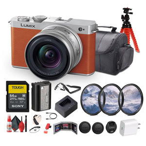 Panasonic Lumix S9 Mirrorless Camera with S 20-60mm f/3.5-5.6 Lens Bundle