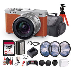 Panasonic Lumix S9 Mirrorless Camera with S 20-60mm f/3.5-5.6 Lens Bundle