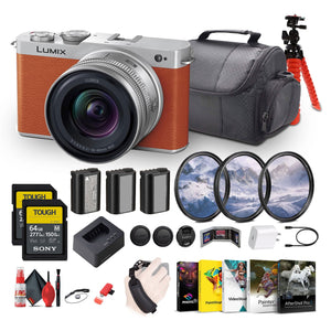 Panasonic Lumix S9 Mirrorless Camera with S 20-60mm f/3.5-5.6 Lens Bundle