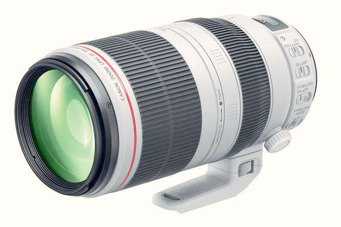 Canon EF 100-400mm f/4.5-5.6L IS USM Telephoto Zoom Lens for Canon SLR Cameras
