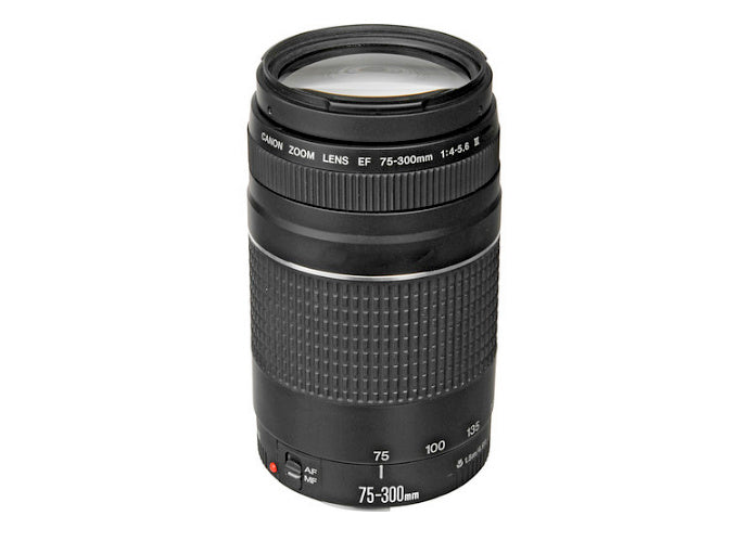 Canon EF 75-300mm f/4-5.6 III Lens