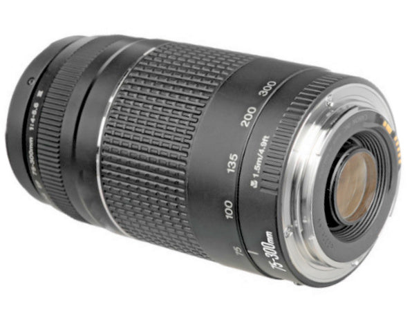 Canon EF 75-300mm f/4-5.6 III Lens