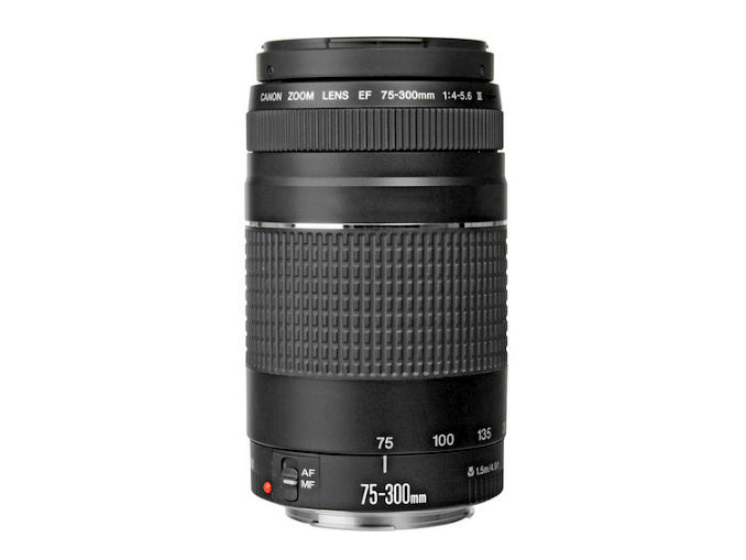 Canon EF 75-300mm f/4-5.6 III Lens