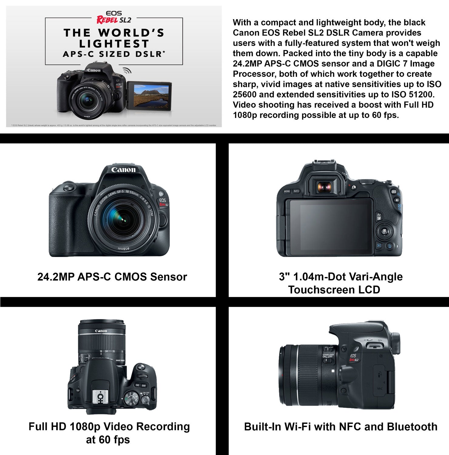 Canon EOS REBEL SL2 DSLR Camera EF-S 18-55mm is STM and EF 75-300MM Lens  ? SanDisk 32gb SD Card + 3PC Filter Kit + MORE