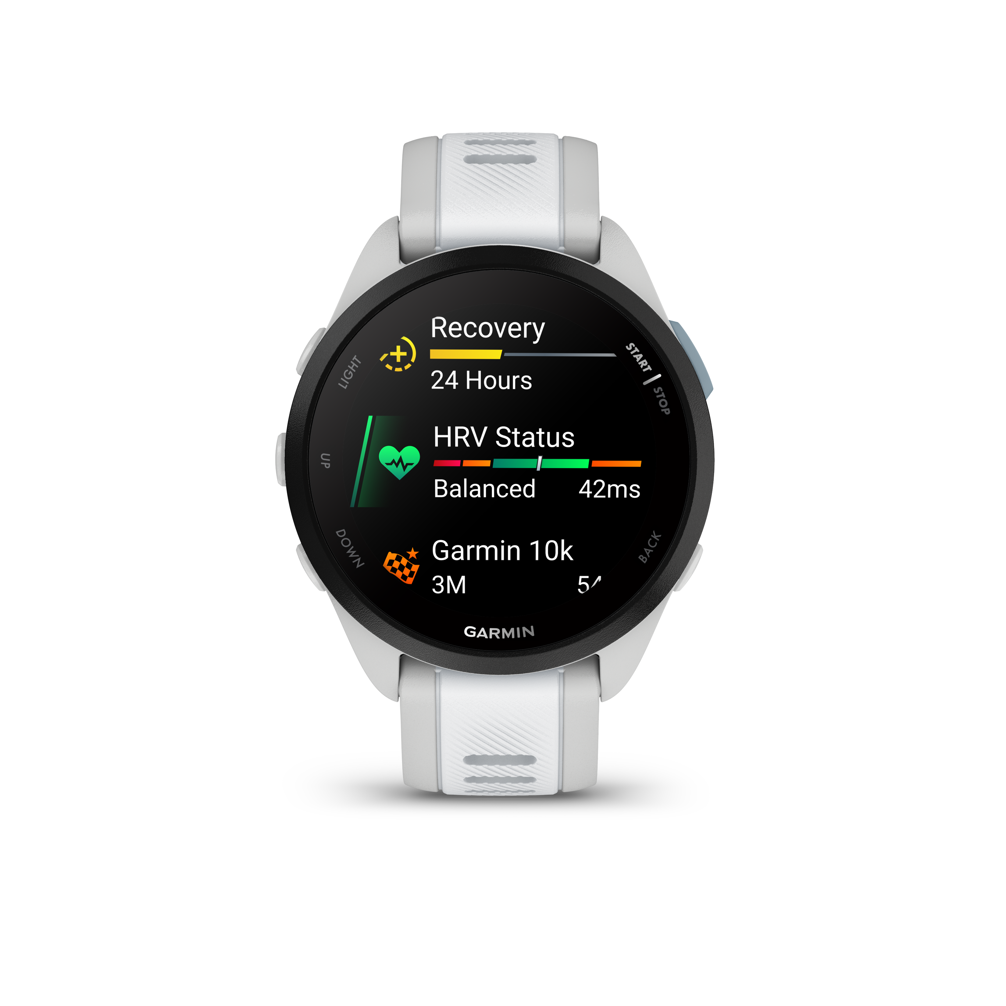 Garmin Forerunner 165 Music GPS Running Smart Watch Bundle - Mist Gray/Whitestone