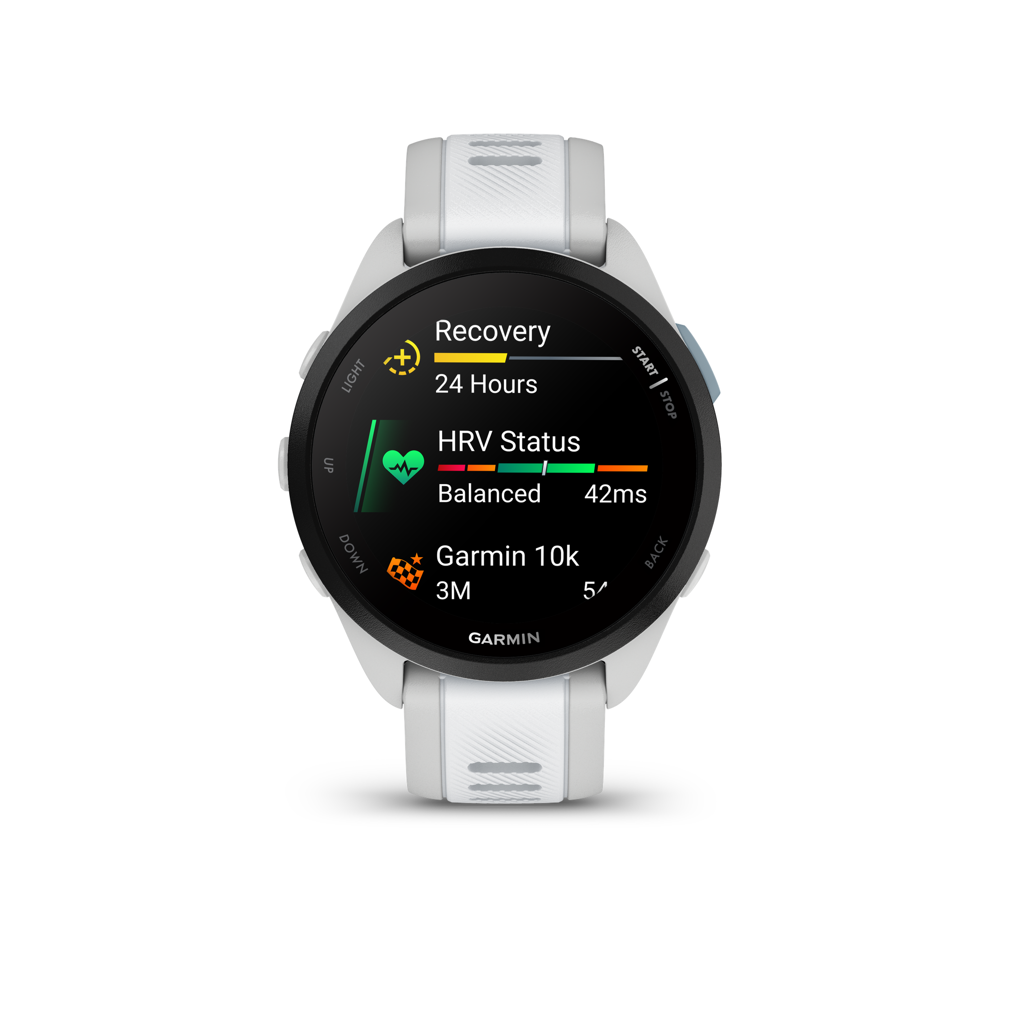 Garmin Forerunner 165 Music GPS Running Smart Watch Bundle - Mist Gray/Whitestone