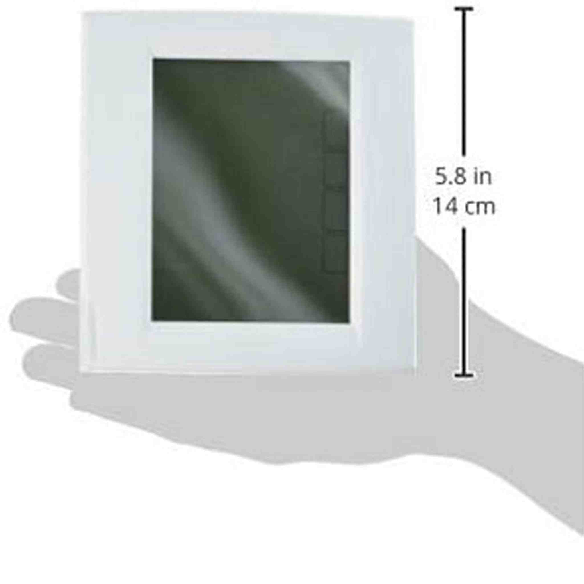 Honeywell TH8321R1001 Vision pro 8000 Thermostat