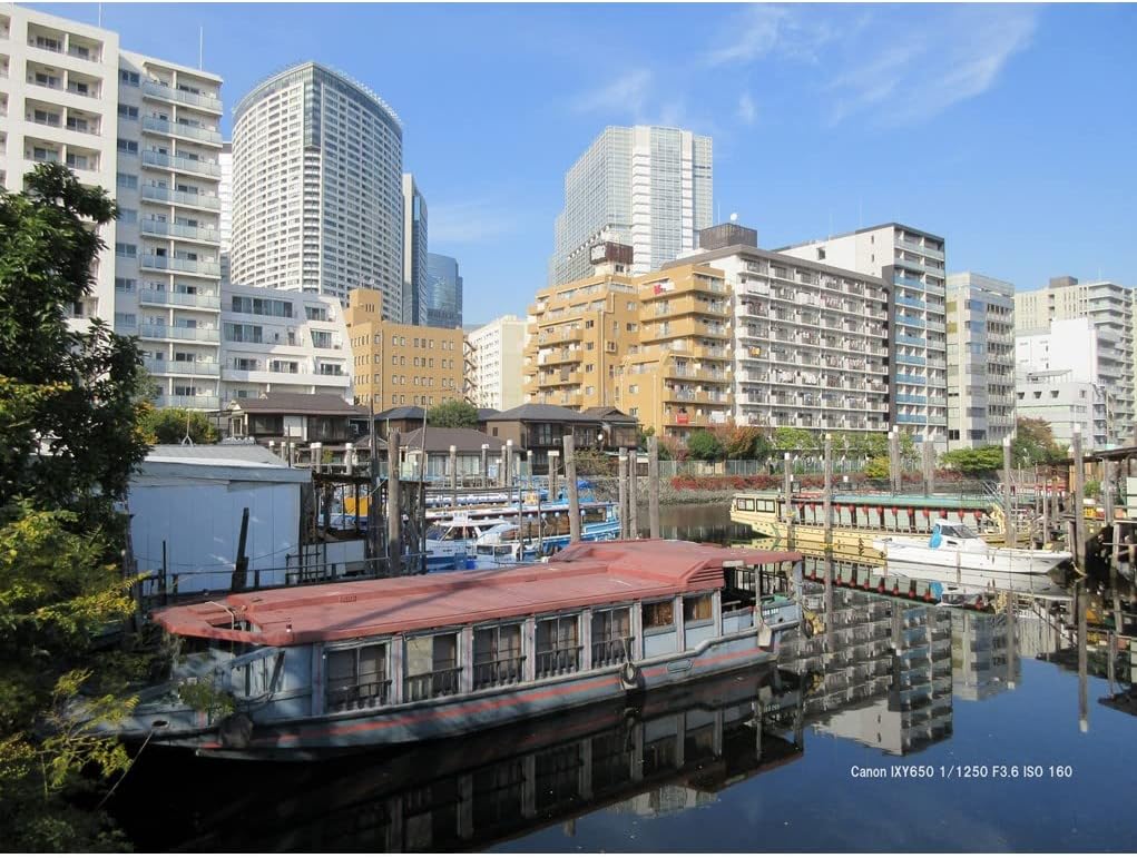 Canon Compact Digital Camera IXY 650 12x Optical Zoom IXY650 - Silver - Bundle