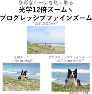 Canon Compact Digital Camera IXY 650 12x Optical Zoom IXY650 - Silver - Bundle