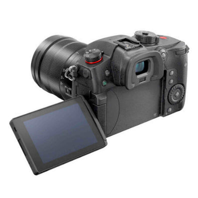 Panasonic LUMIX GH5M2, 20.3MP Mirrorless Micro Four Thirds Camera with 12-60mm F2.8-4.0 Leica Lens DC-GH5M2LK