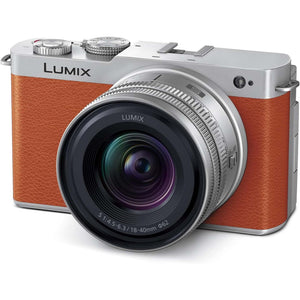 Panasonic Lumix S9 Mirrorless Camera with S 20-60mm f/3.5-5.6 Lens Bundle