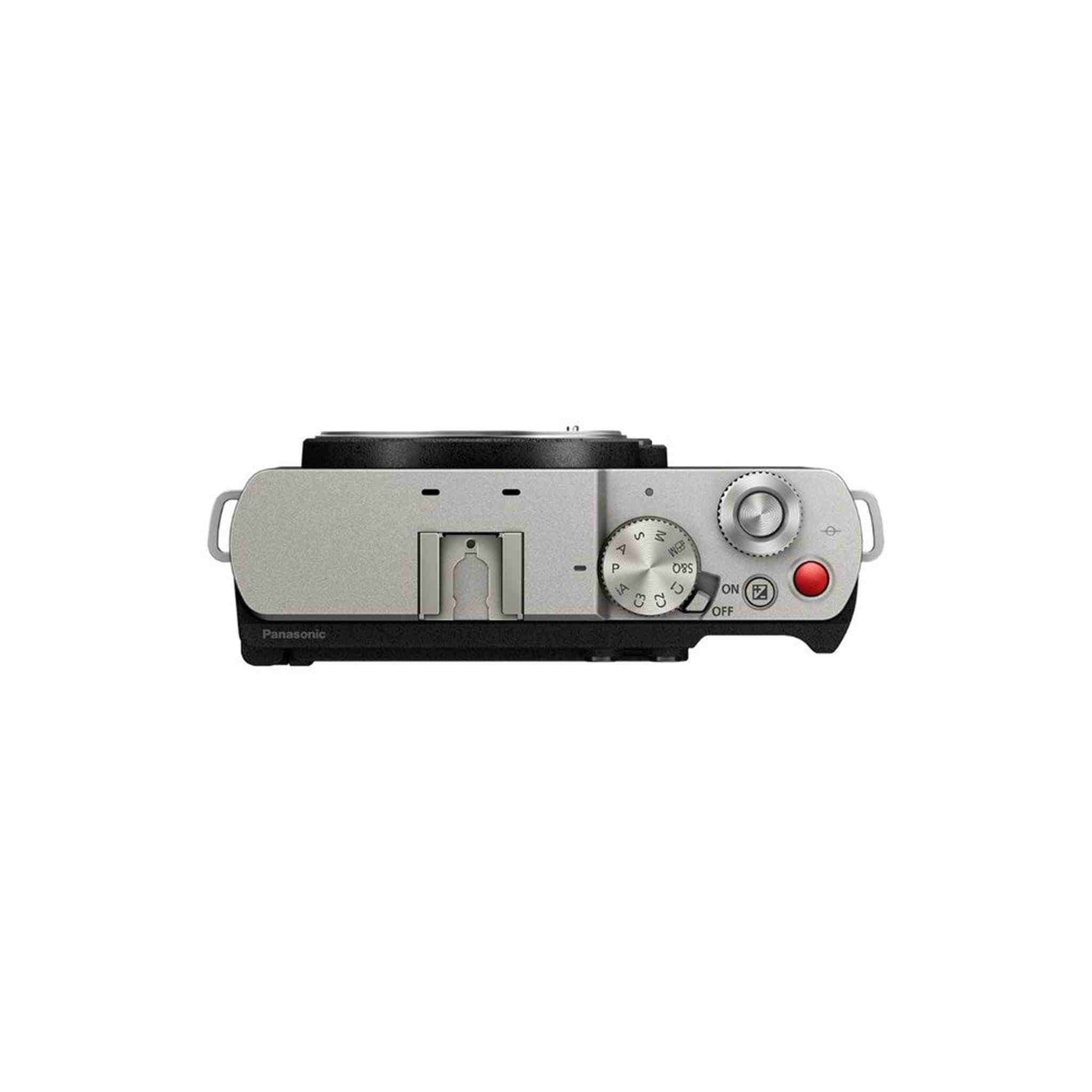 Panasonic LUMIX S9 Mirrorless Camera + Lumix S 100mm Macro Lens Leica L Silver