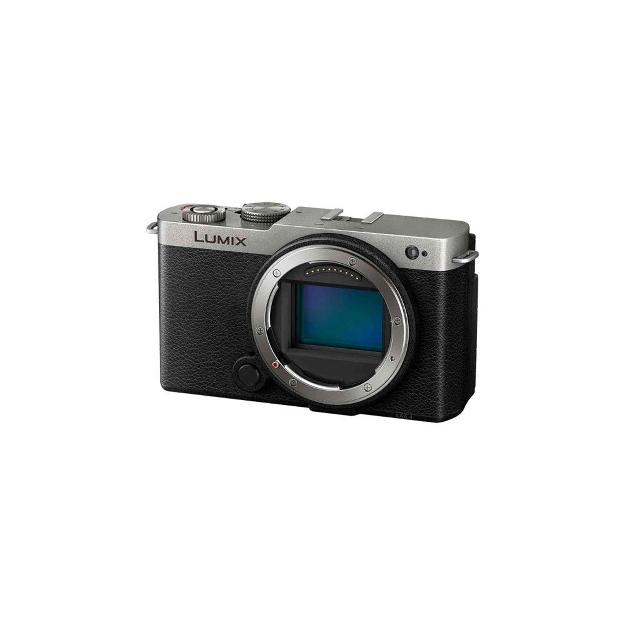 Panasonic LUMIX S9 Mirrorless Camera + Lumix S 100mm Macro Lens Leica L Silver