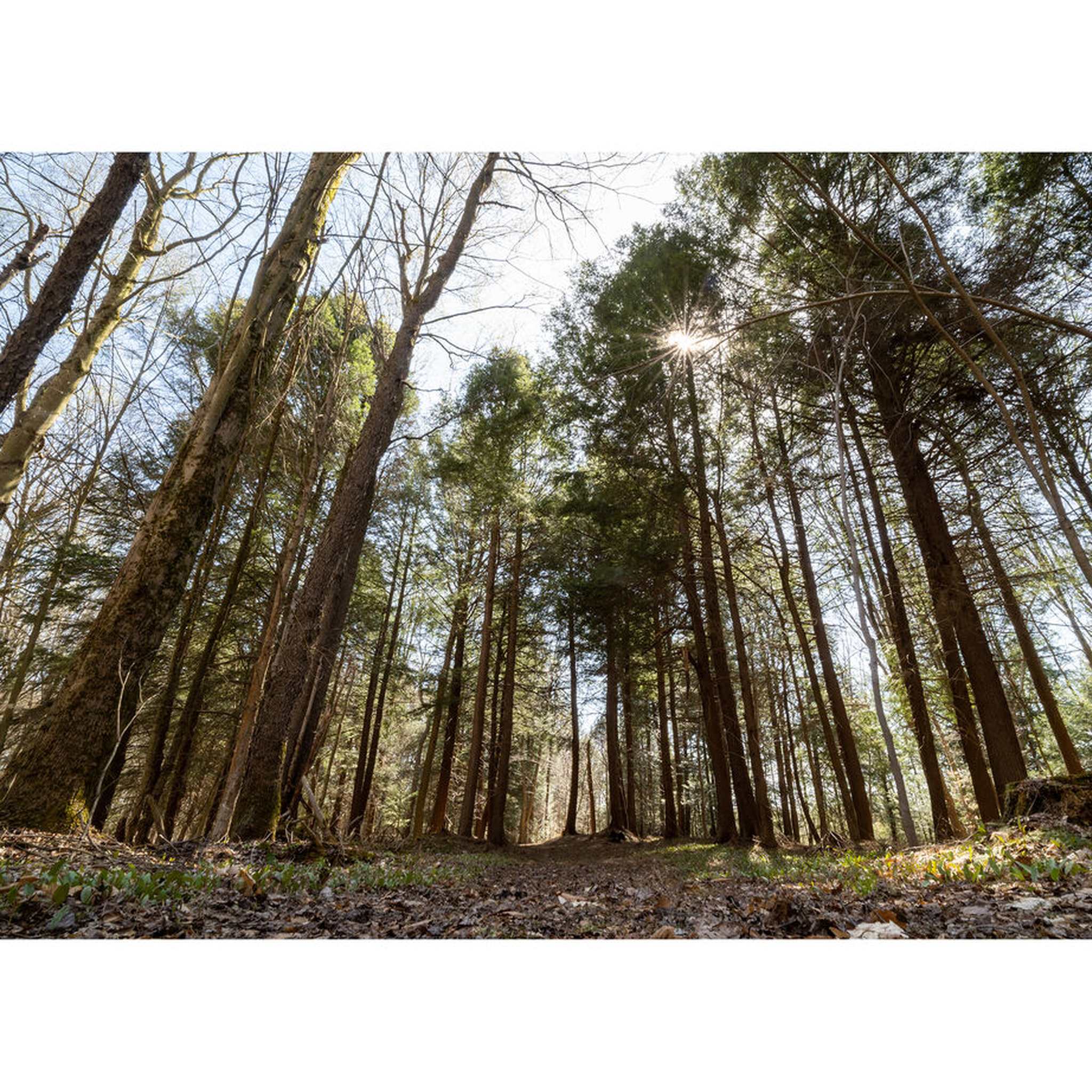 Sigma 16-28 2.8 DG DN Sony E Bundle