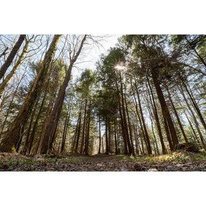 Sigma 16-28 2.8 DG DN Sony E Bundle