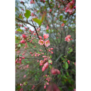 Sigma 16-28 2.8 DG DN Sony E Bundle