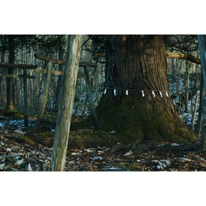 Sigma 16-300mm f/3.5-6.7 DC OS Contemporary Sony E Bundle 3