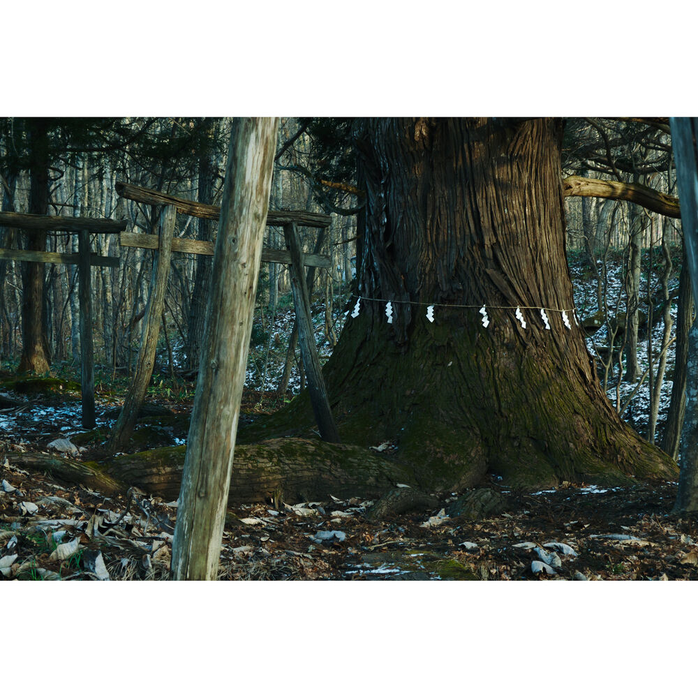 Sigma 16-300mm f/3.5-6.7 DC OS Contemporary Sony E Bundle 2