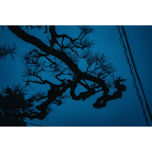 Sigma 17-40mm f/1.8 DC Art Lens L-Mount Bundle 2