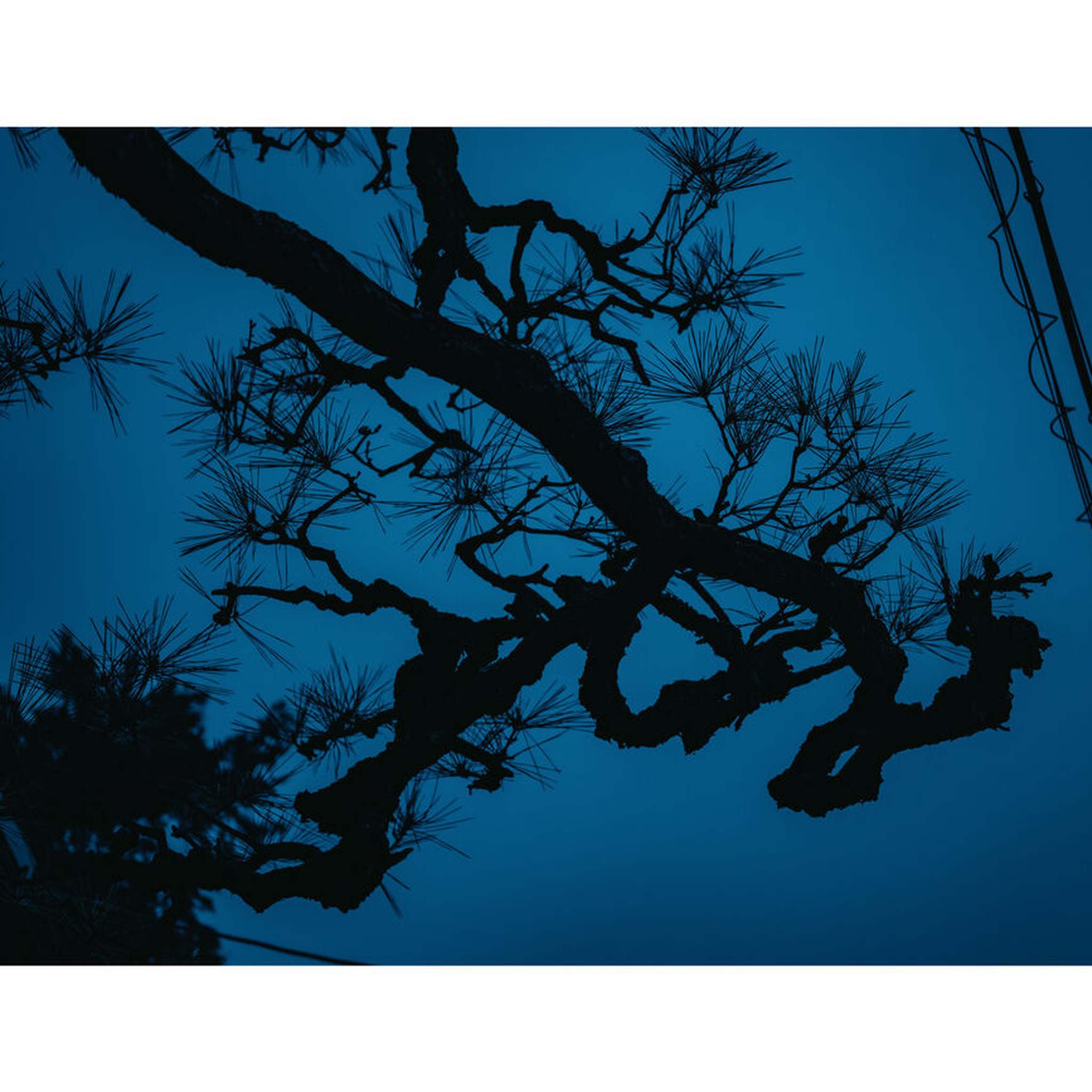 Sigma 17-40mm f/1.8 DC Art Lens Sony E Bundle 1