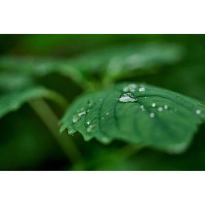 Sigma 20-200mm f/3.5-6.3 DG Lens Sony E Bundle 2