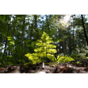 Sigma 23mm f/1.4 DC DN Contemporary Lens Fuji X Bundle