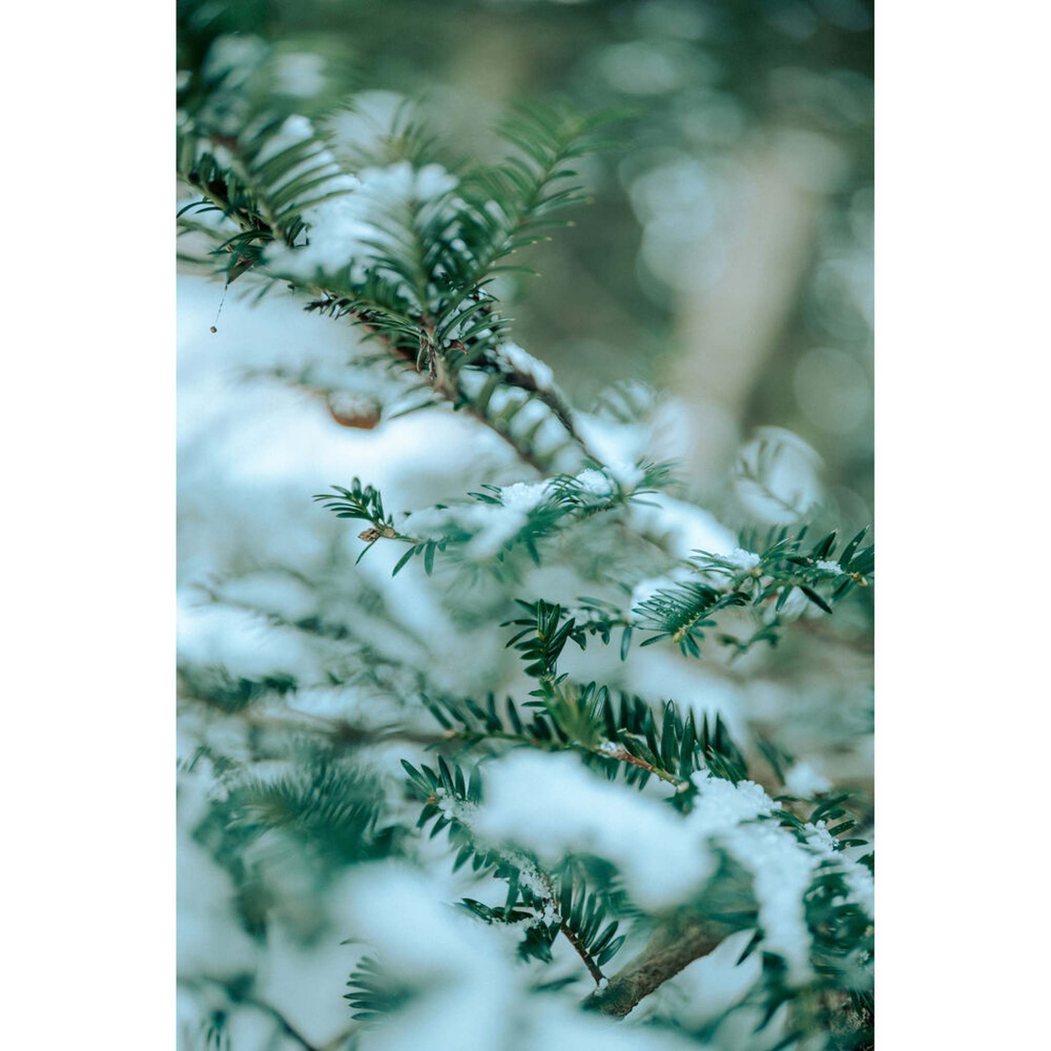 Sigma 35mm f/1.2 DG II Art Lens L-Mount Bundle 1