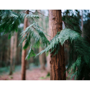 Sigma 35mm f/1.2 DG II Art Lens Sony E Bundle 1