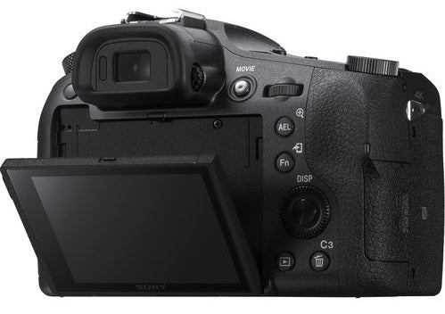  Sony Cyber‑Shot RX10 IV with 0.03 Second Auto-Focus & 25x  Optical Zoom (DSC-RX10M4), Black : Electronics