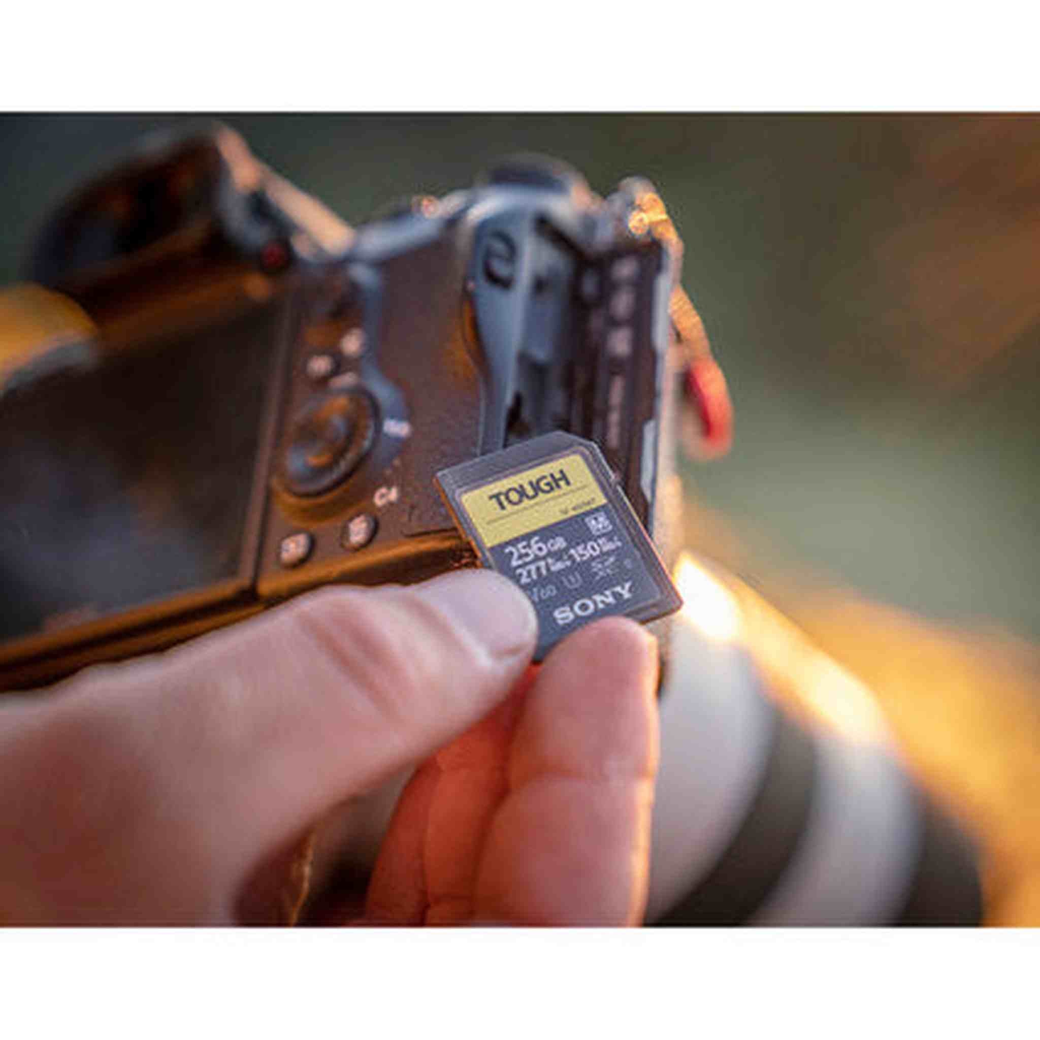 Sony TOUGH-M series SDXC UHS-II Card 256GB, V60, CL10, U3, Max R277MB/S, W150MB/S SF-M256T/T1