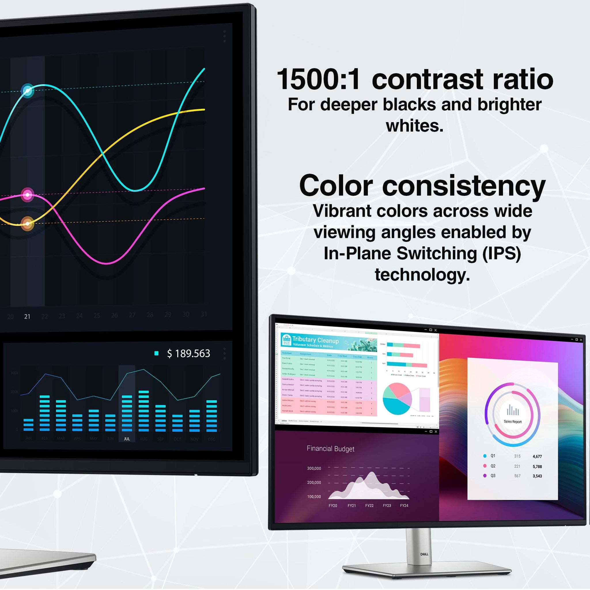 Dell P2425H 24" Full HD, 1920 x 1080 Display, 16:9 IPS, LED, 100Hz Monitor Bundle