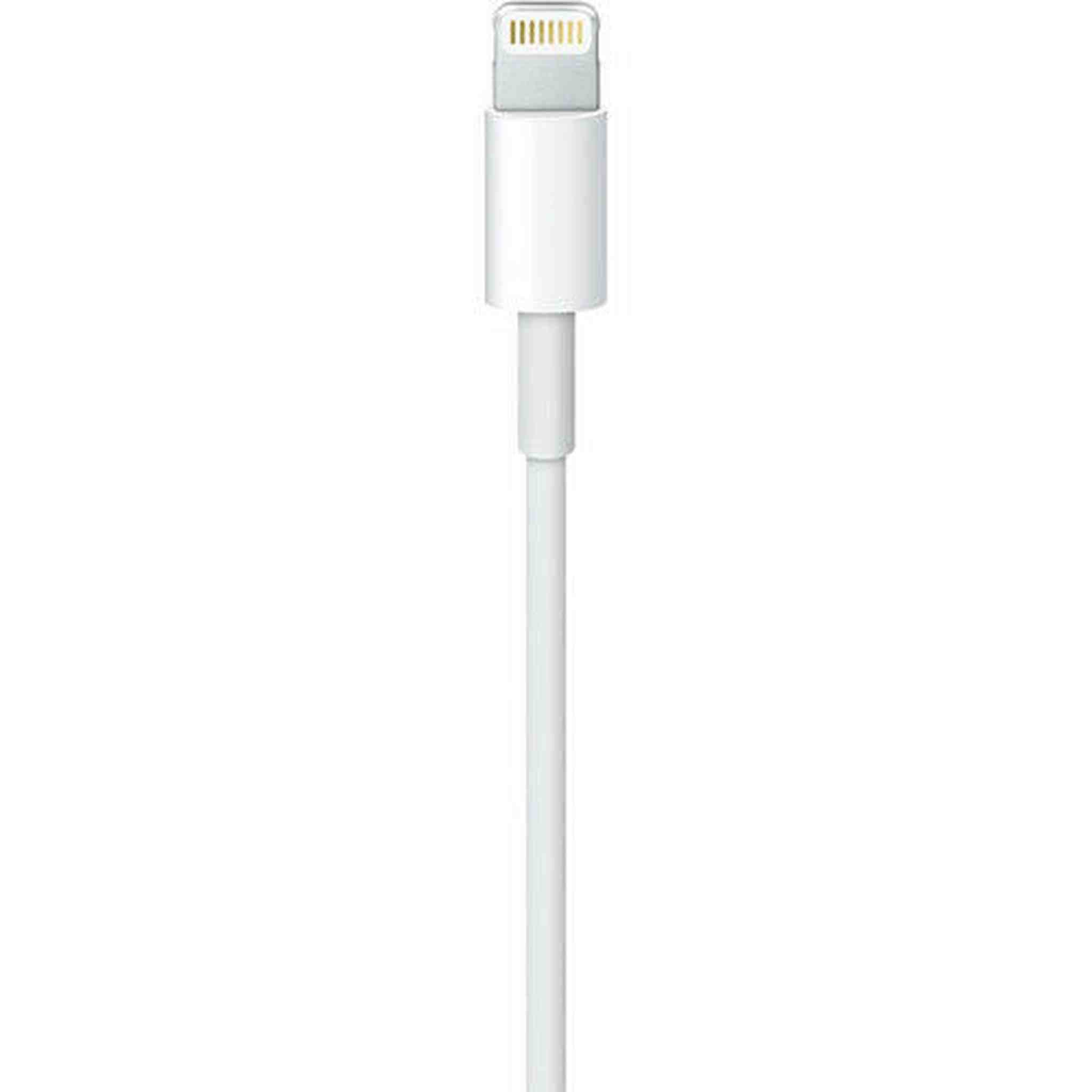 Apple Lightning to USB Cable 0.5 m Apple